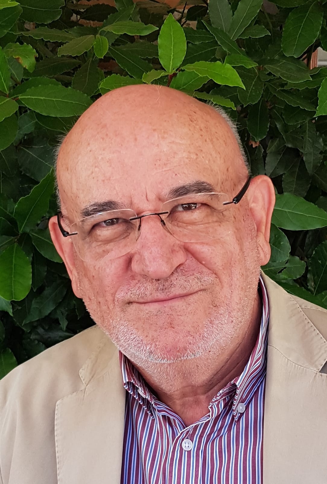 Francisco Ramos Fernández-Torrecilla